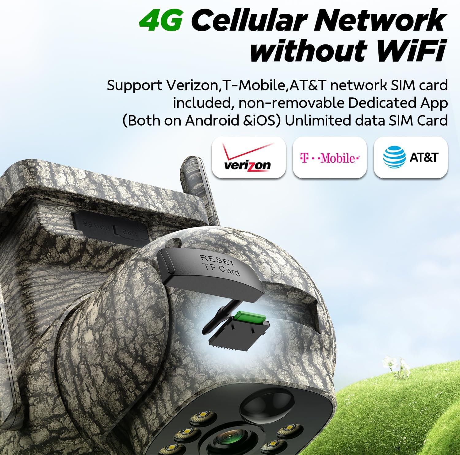 Deer on Property Line